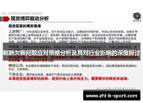 赵鹏欠薪问题应对策略分析及其对行业影响的深度探讨